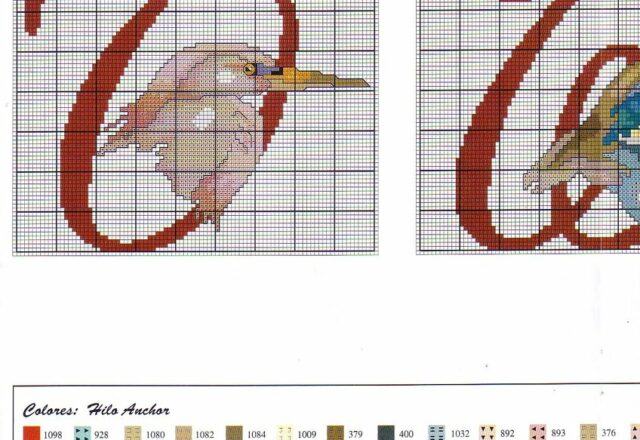 Alfabeto con uccelli ed animali esotici (7)