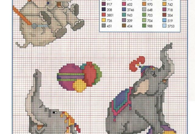 Dumbo l’ elefante fa esercizi da circo con palla