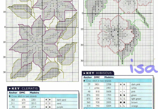 Fiore di Clematide e di Ibisco schemi punto croce
