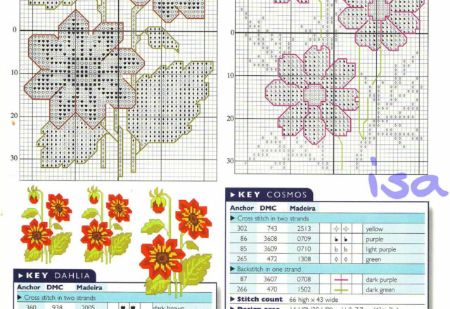 Fiori di Dahlia e di Cosmos a punto croce