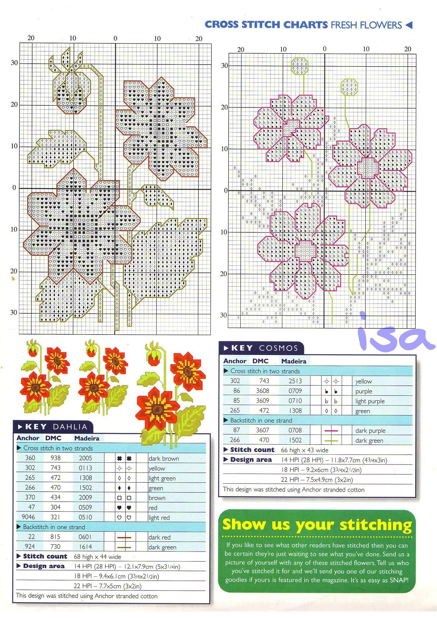 Fiori di Dahlia e di Cosmos a punto croce