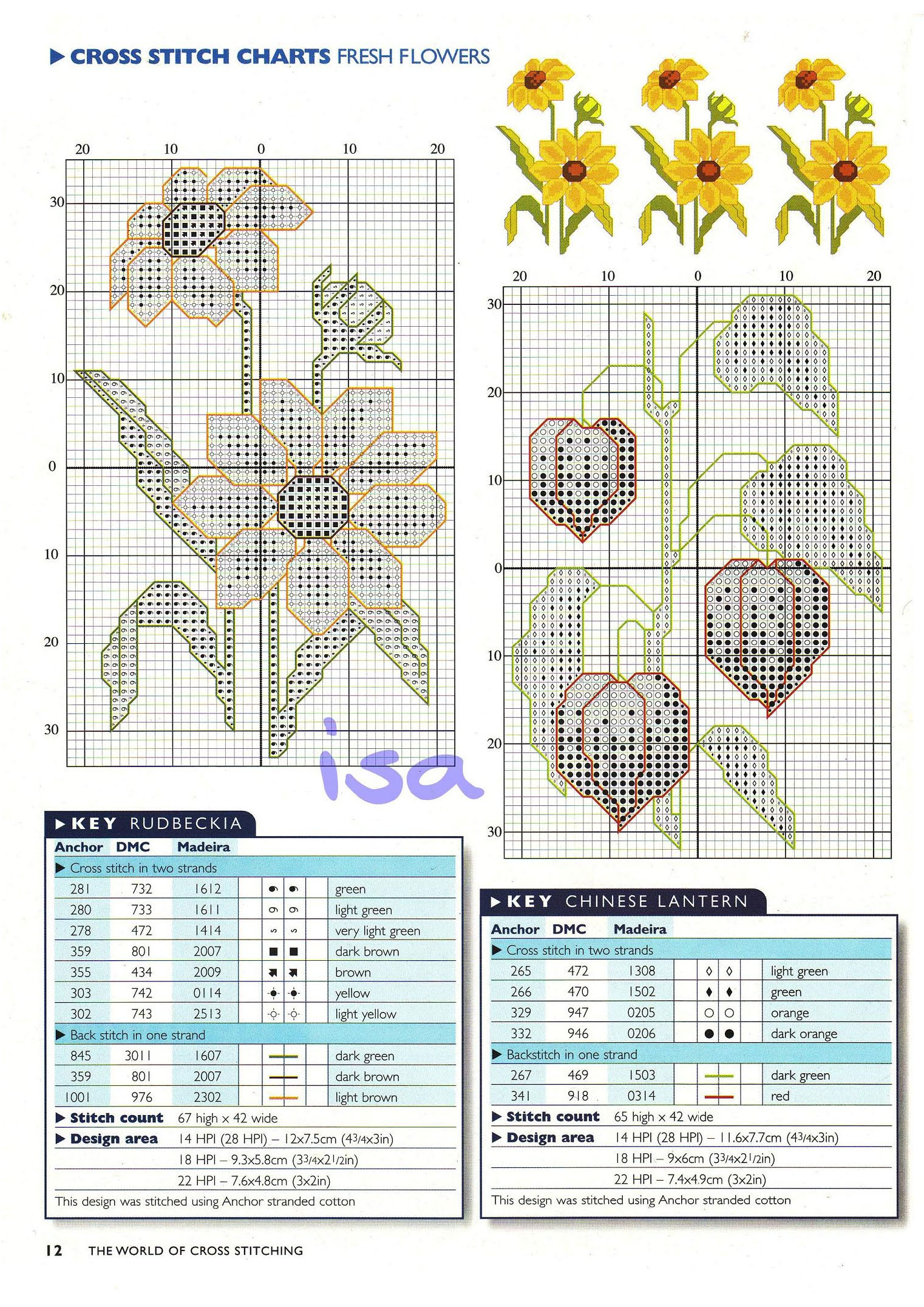 Fiori di Rudbeckia e di Lanterne cinesi punto croce