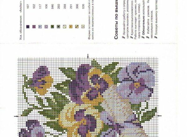 Pansè con pergamena schema punto croce