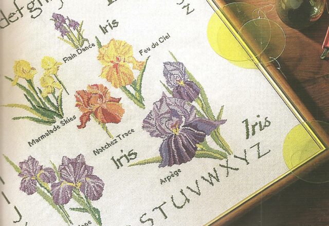 Sampler a punto croce con bellissimi fiori iris (2)