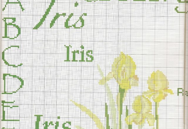 Sampler a punto croce con bellissimi fiori iris (3)