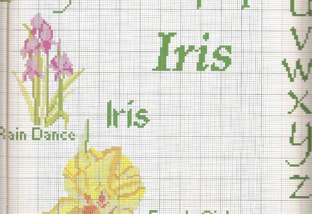 Sampler a punto croce con bellissimi fiori iris (4)