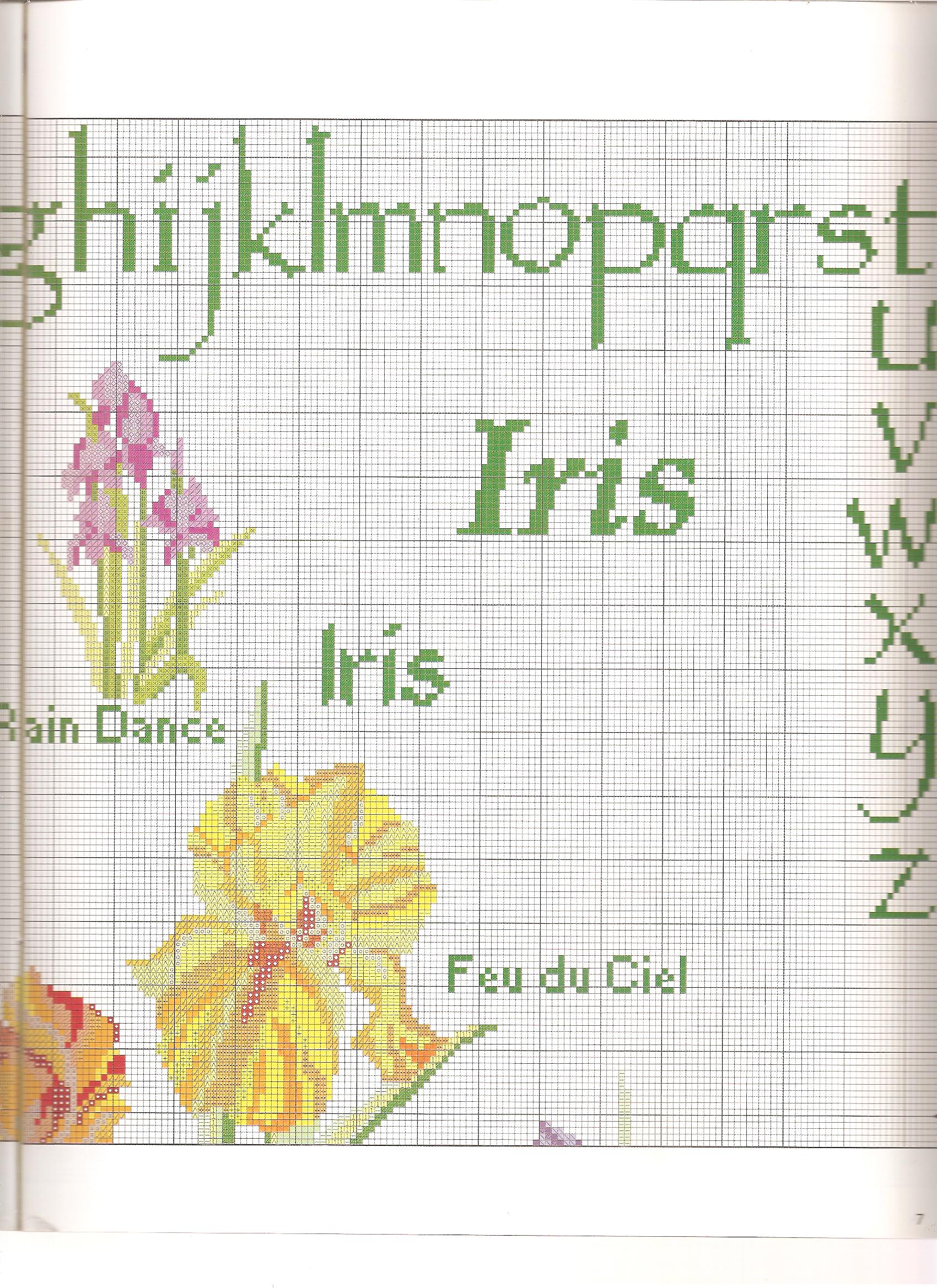 Sampler a punto croce con bellissimi fiori iris (4)