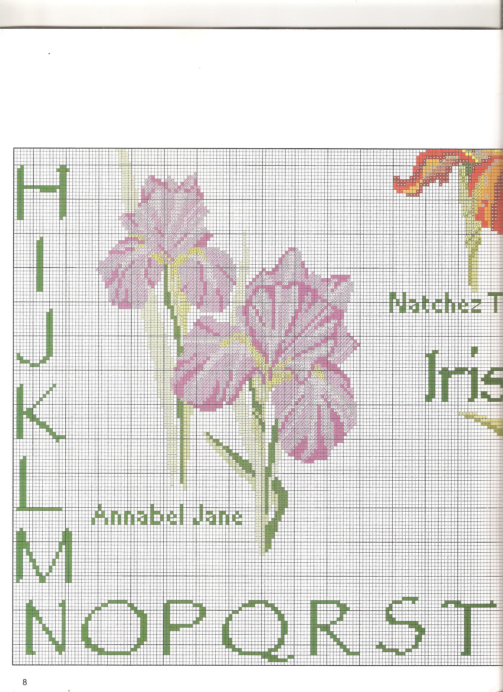 Sampler a punto croce con bellissimi fiori iris (5)