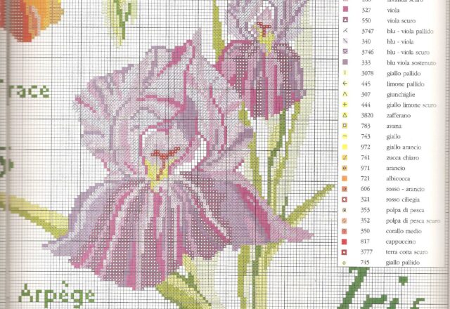 Sampler a punto croce con bellissimi fiori iris (6)