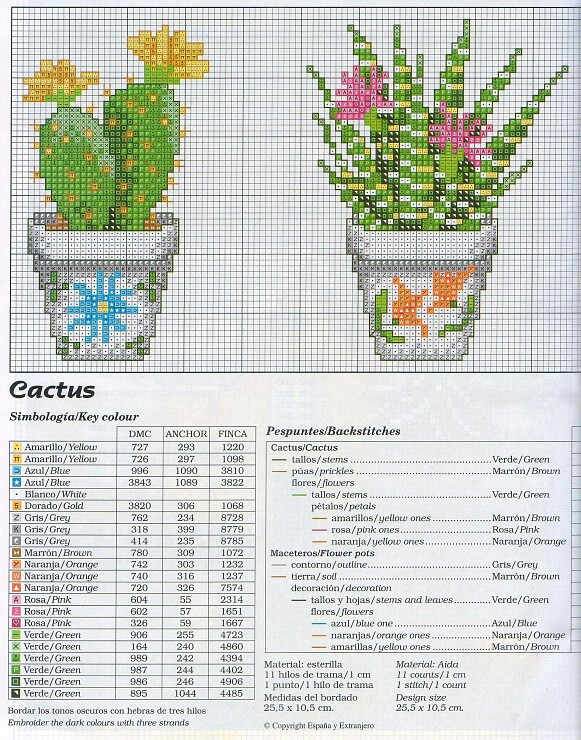 Vasetti piante grasse cactus fiori colorati (2)