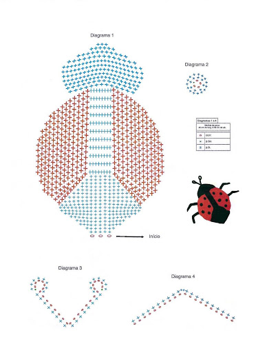 applicazione coccinella (2)