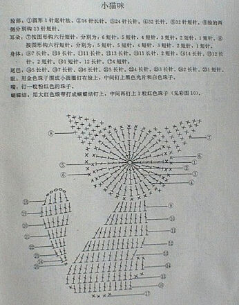 applicazione gattino (2)