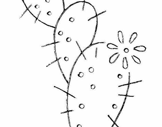 disegno da ricamare cactus