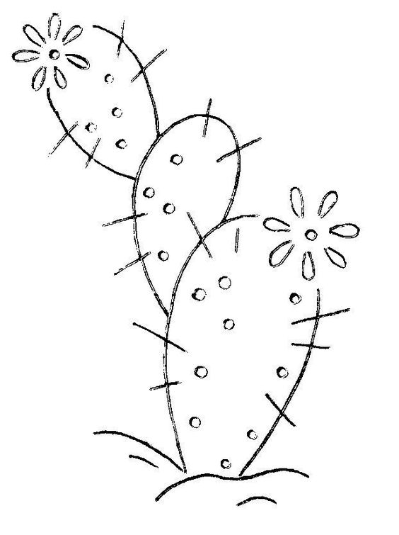 disegno da ricamare cactus