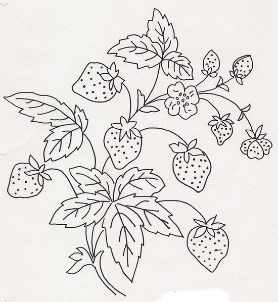 disegno da ricamare fragole