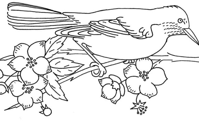 disegno da ricamare passerotto su ramo