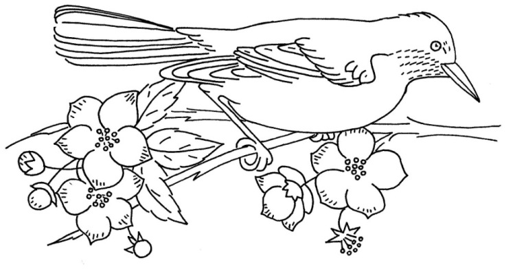 disegno da ricamare passerotto su ramo