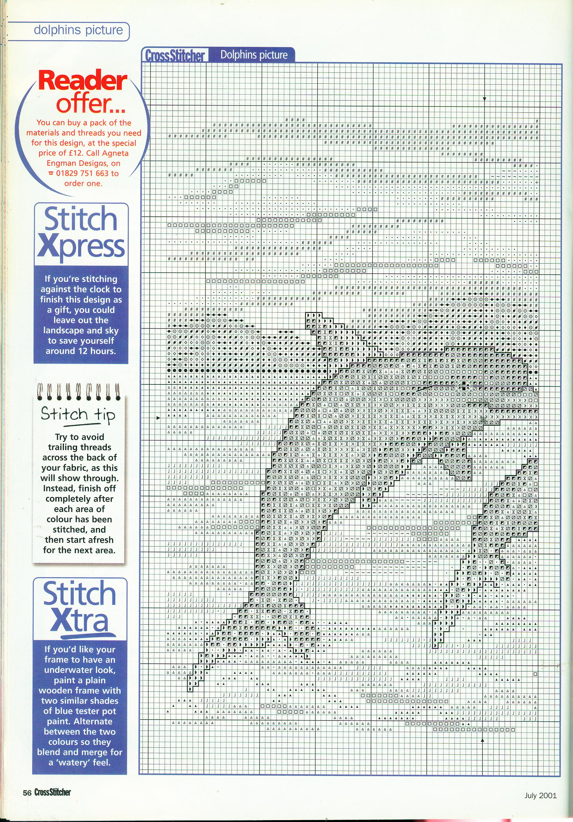 due delfini in schema punto croce (2)