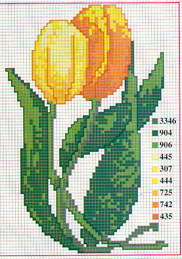 due grandi tulipani gialli