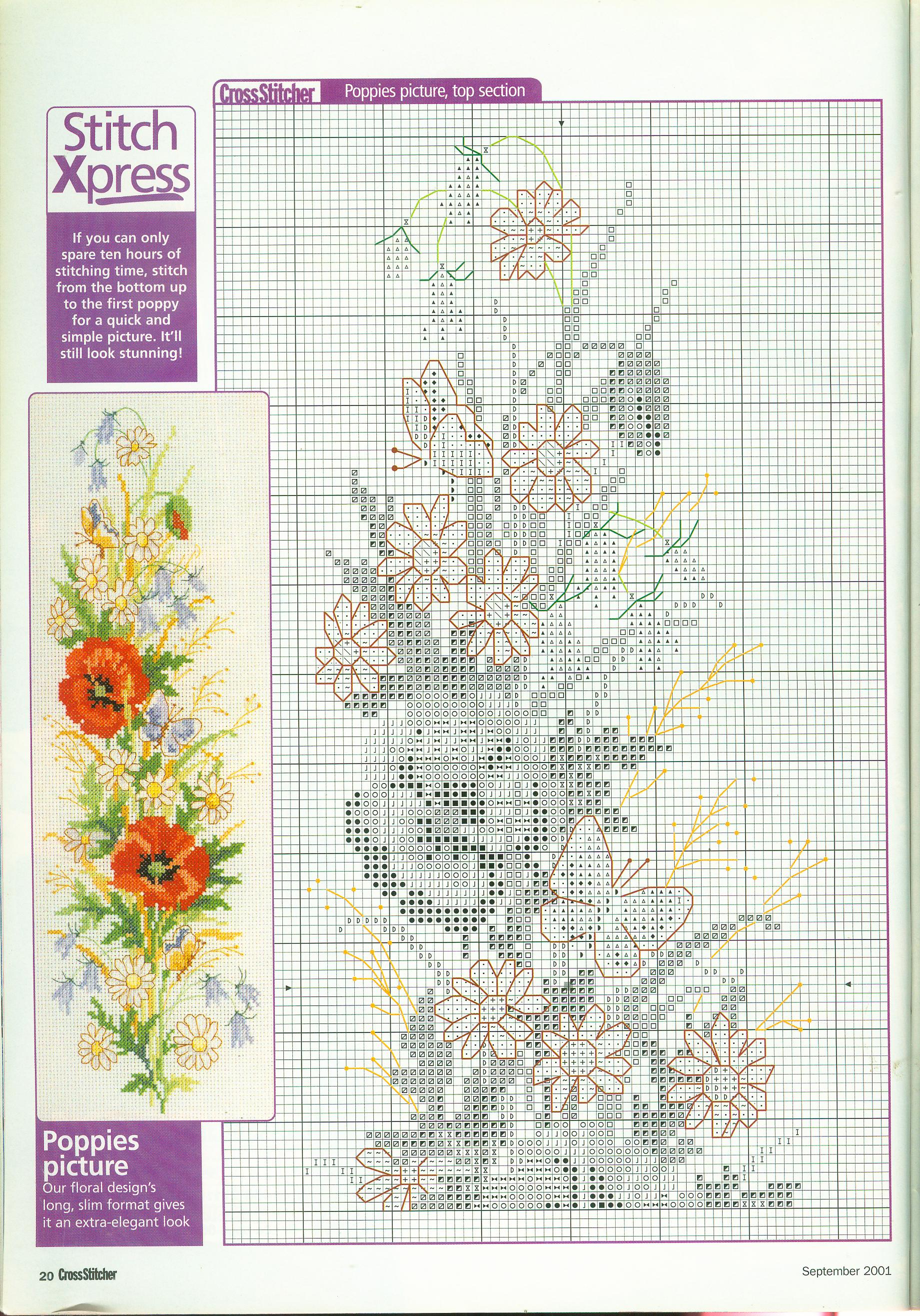 fantasia di papaveri schema punto croce (2)