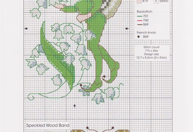 fata farfalla con vestiti color verde (2)