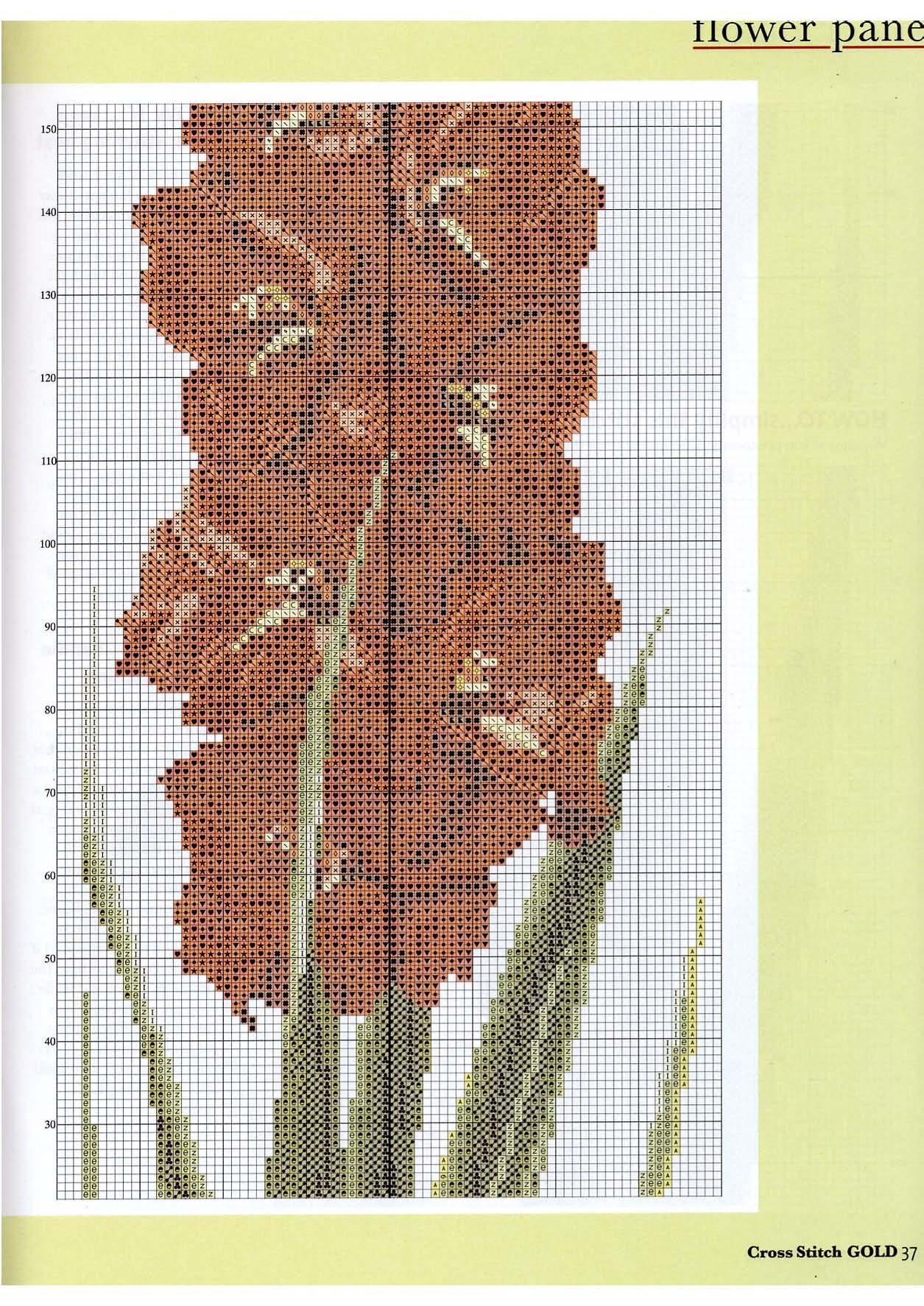 fiori gladioli schema punto croce (2)