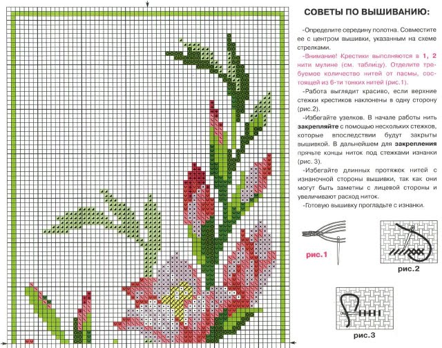 fiori gladiolo punto croce (1)