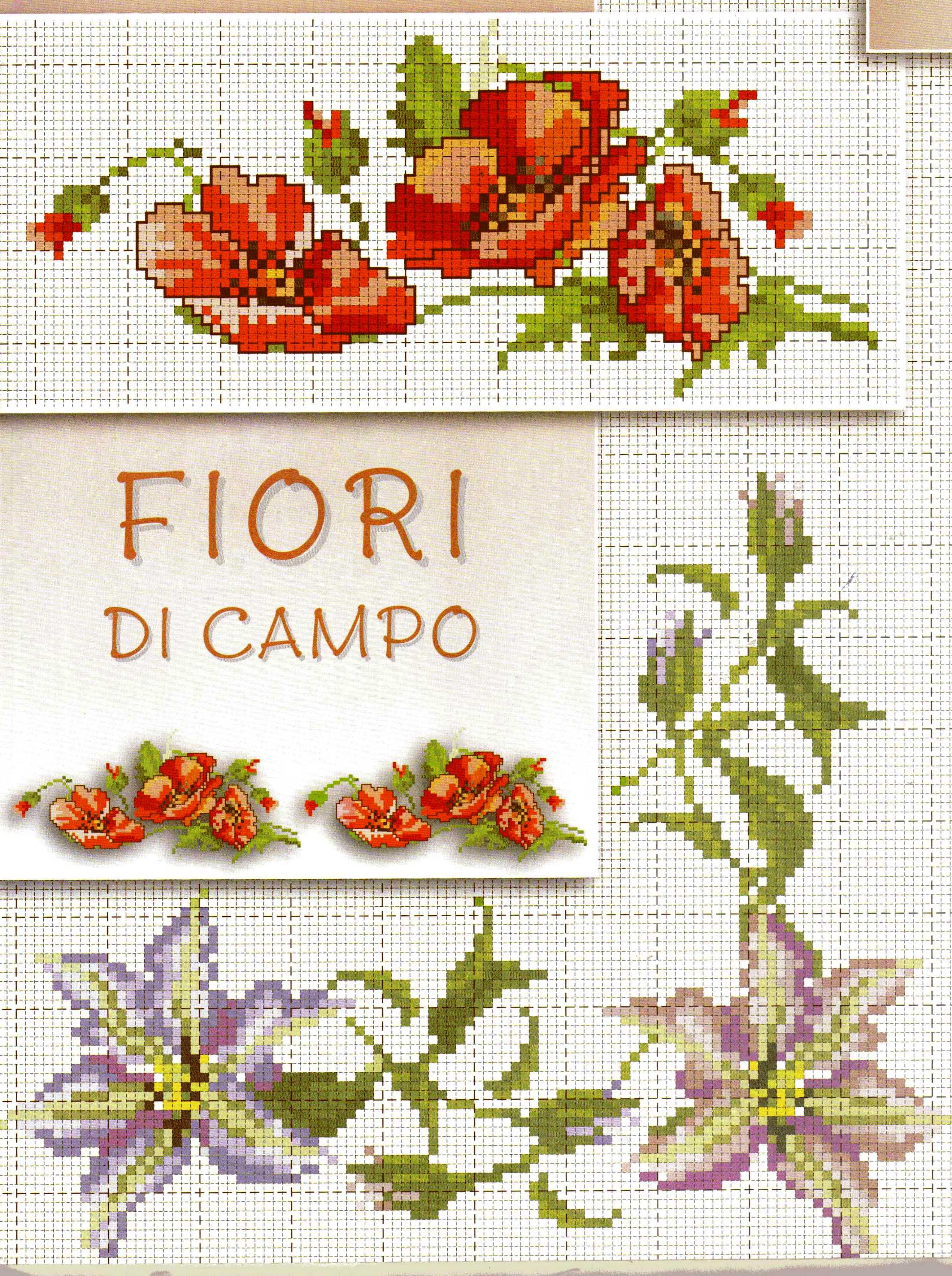 fiori papaveri gigli