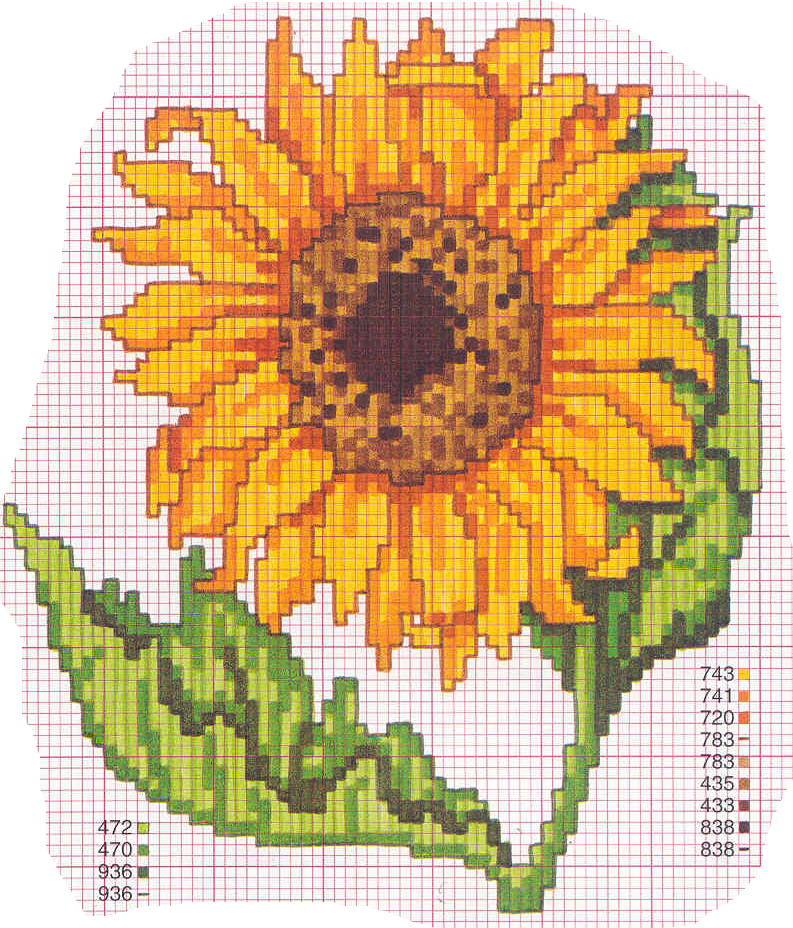 girasole grande schema