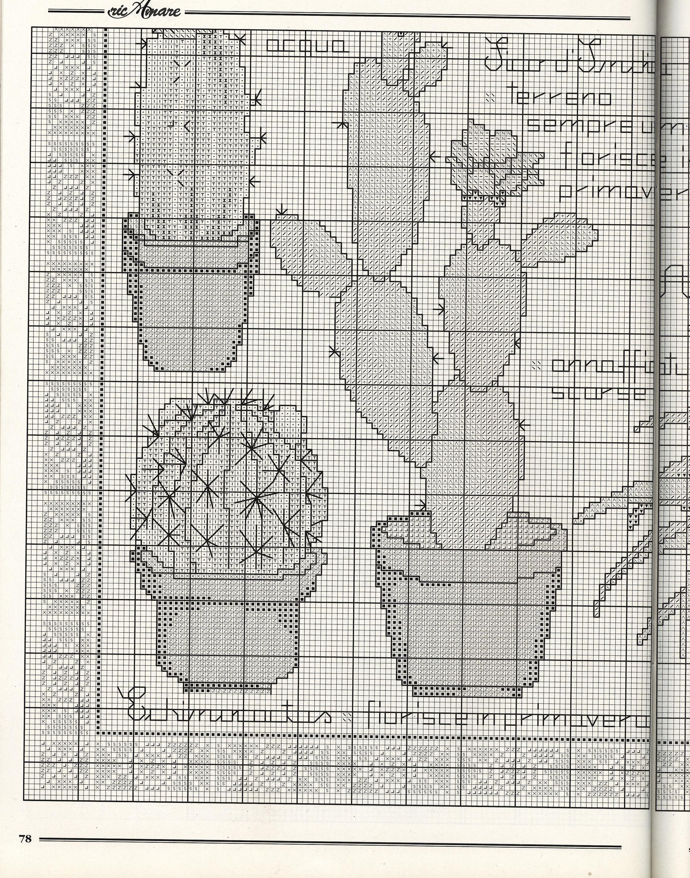 piante grasse con descrizione (4)