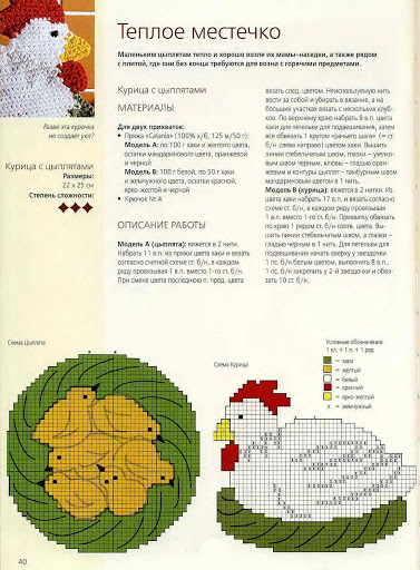 presine gallina pulcini (2)