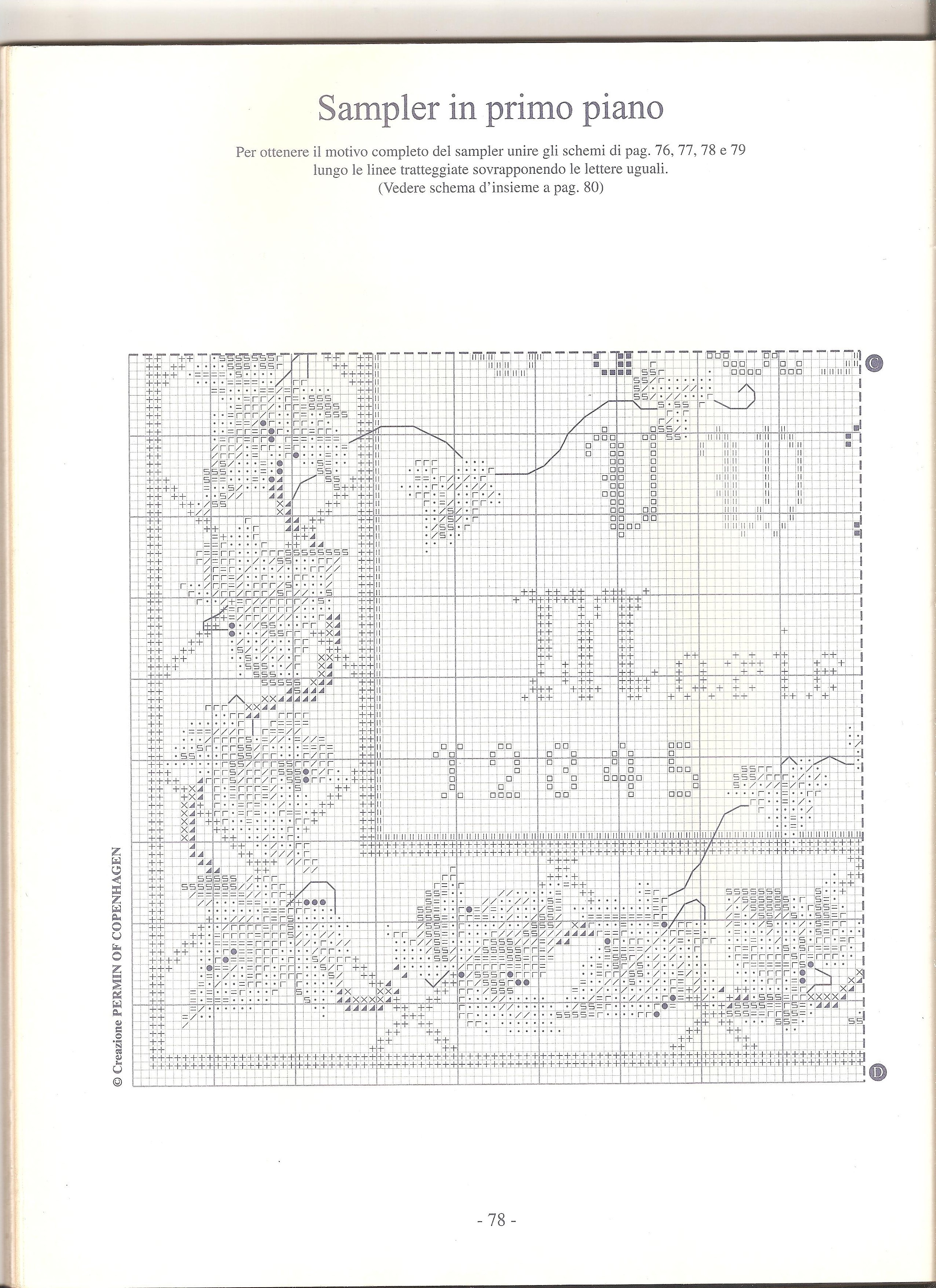 sampler edera (4)