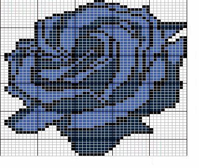 schema di una rosa blu