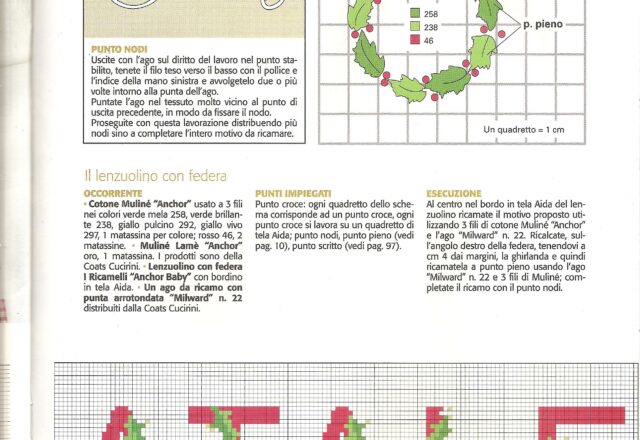 scritta Buon Natale agrifoglio (2)